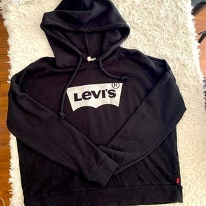 Levi’s Silver Sparkle Batwing Hoodie